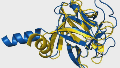 Cross-phyla protein annotation by structural prediction and alignment featured image